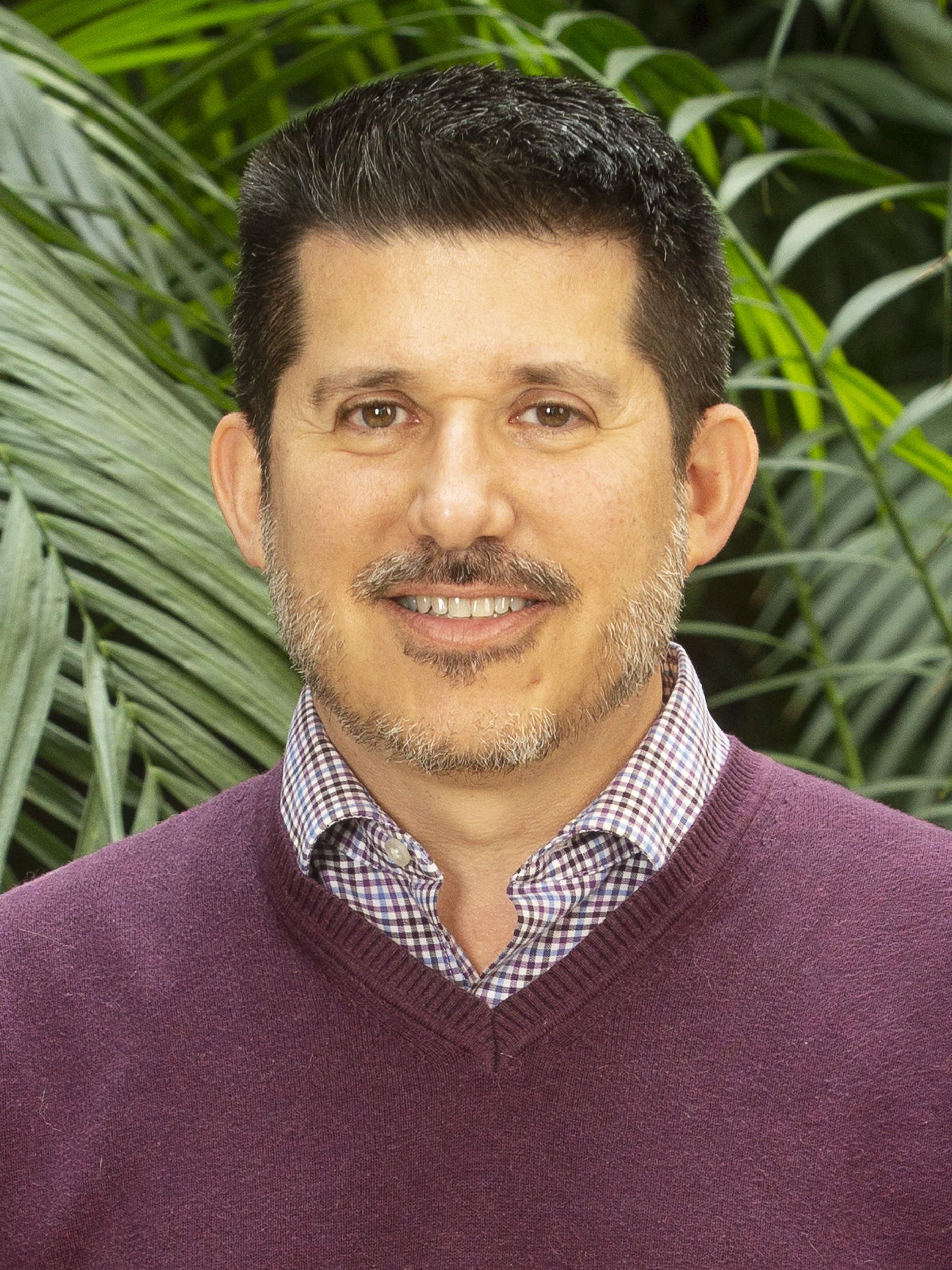 David Szwejbka